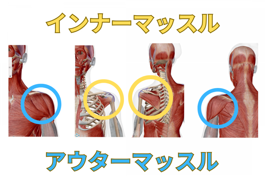 インナーマッスル・アウターマッスル